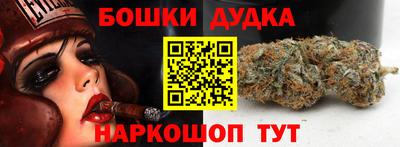 крисы Обь