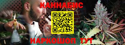 крисы Обь