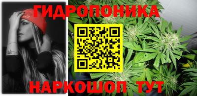 крисы Обь