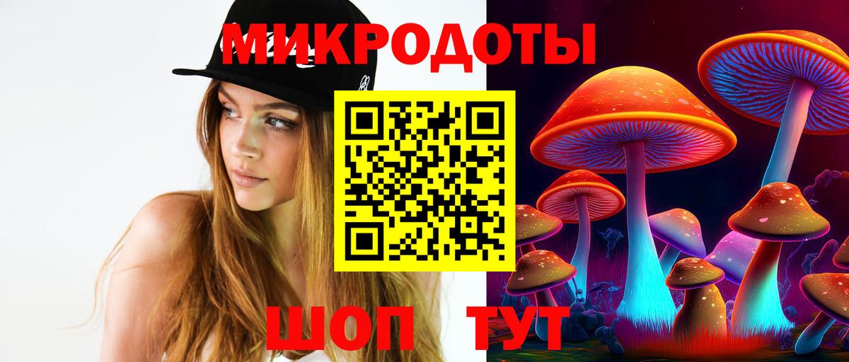 Галлюциногенные грибы Psilocybine cubensis  Вход с VPN  Советский 