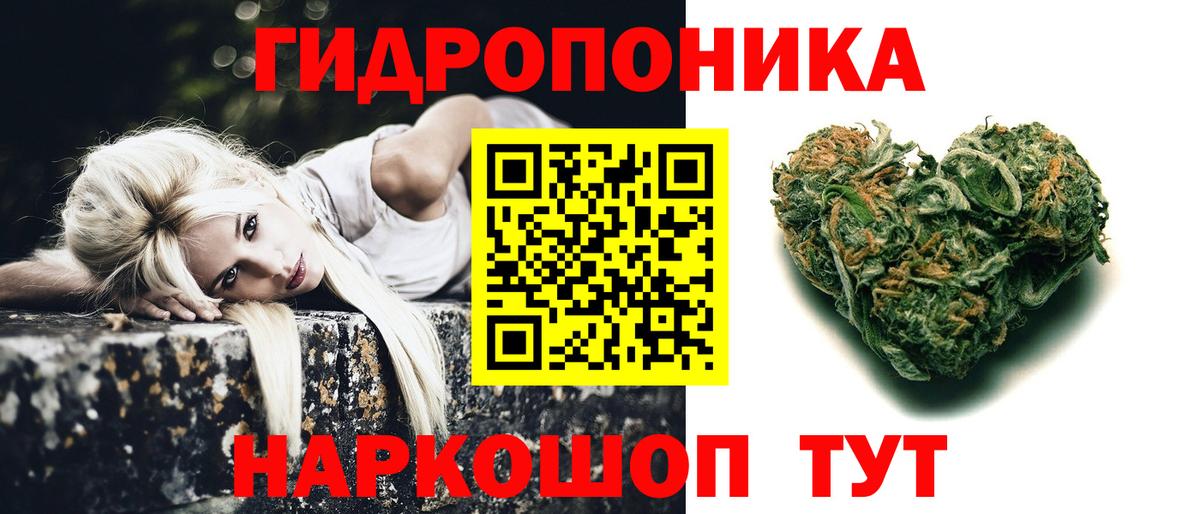 Советский  Бошки Шишки конопля  Бошки марихуана OG Kush  Шишки марихуана план  Вход с VPN 